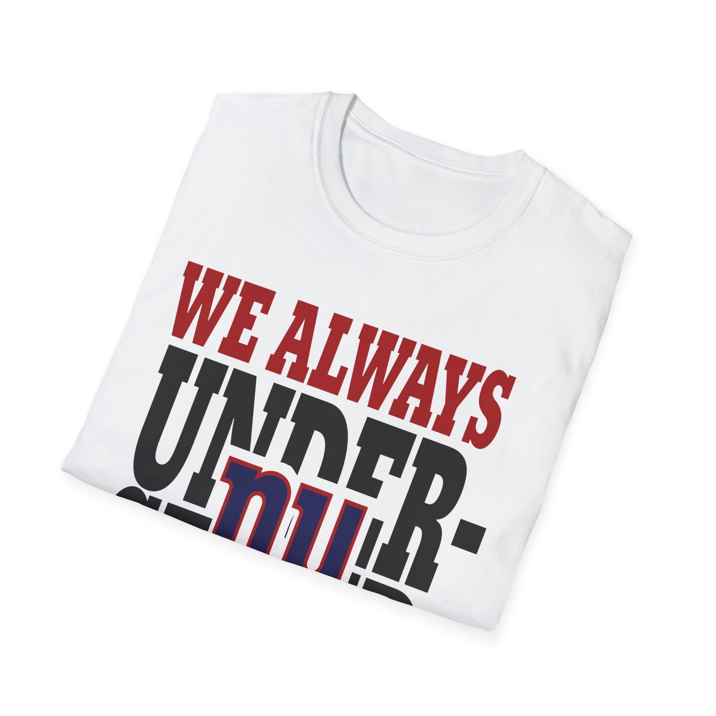 We always understand the assignment Unisex Softstyle T-Shirt