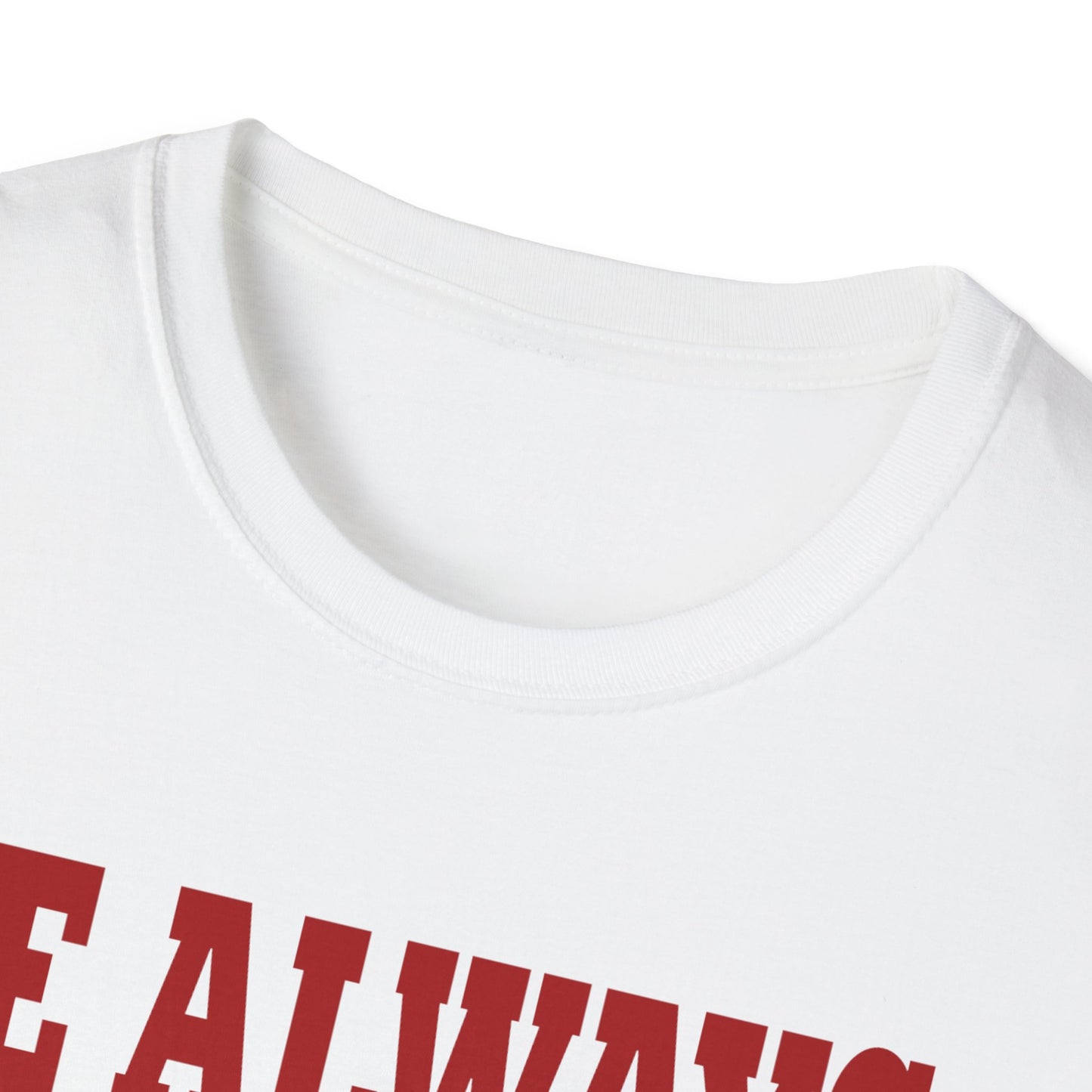 We always understand the assignment Unisex Softstyle T-Shirt