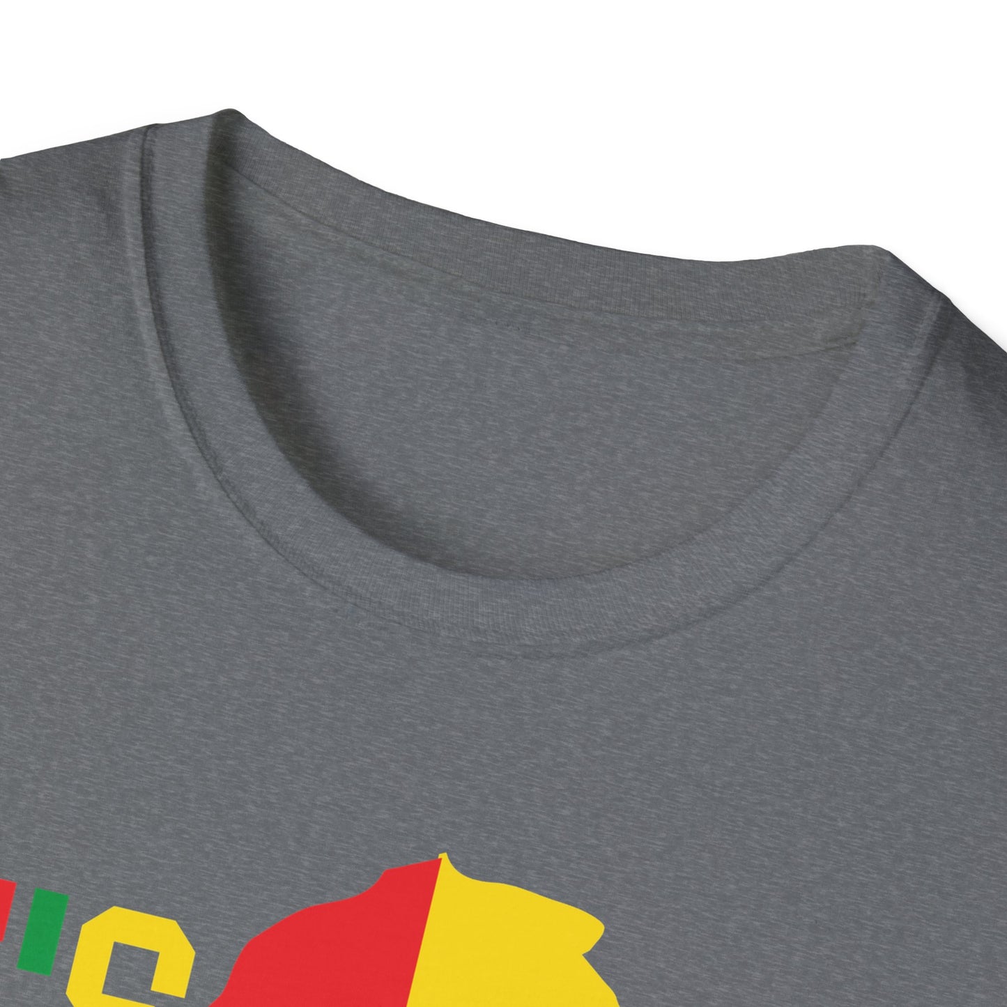 It's in my DNA Unisex Tee, Identity Wear, Gifts for him/her, Family Reunion Shirt