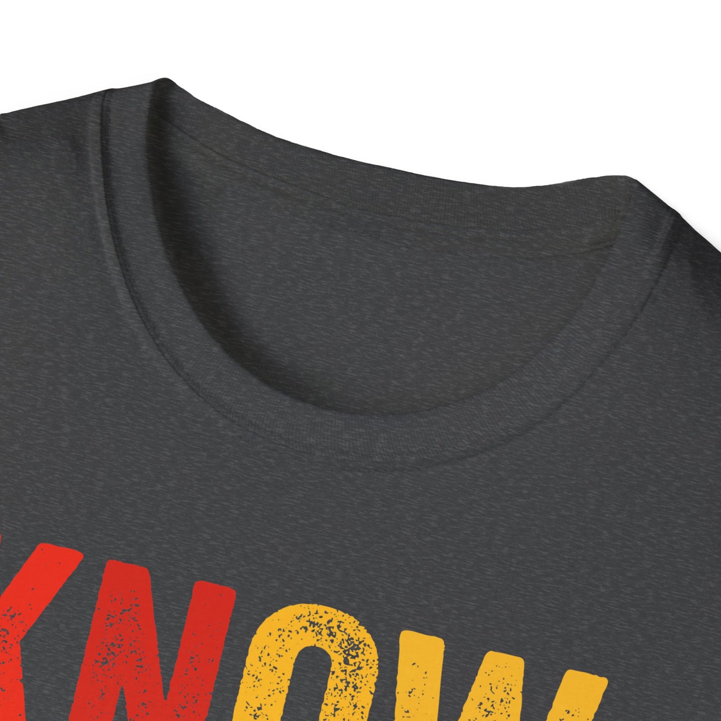 Know your own history Unisex Softstyle T-Shirt