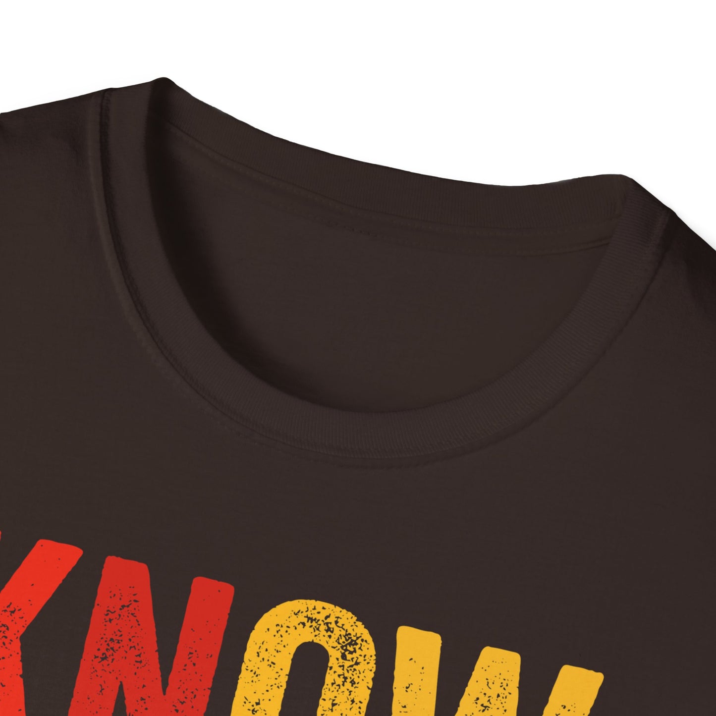 Know your own history Unisex Softstyle T-Shirt