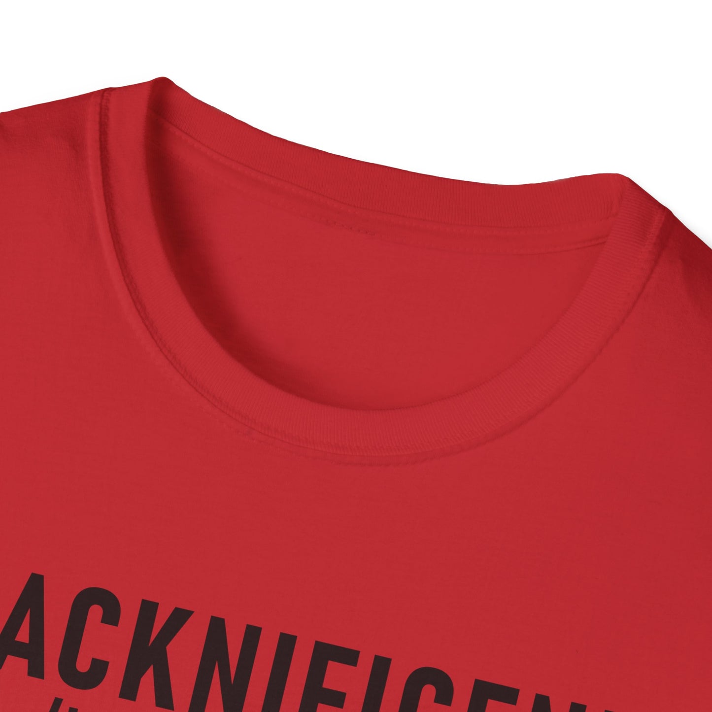Blacknificent Unisex Softstyle T-Shirt | Inspirational Tee, Melanin Pride Shirt, Gift for Her/Him, Everyday Wear, Celebration Tee