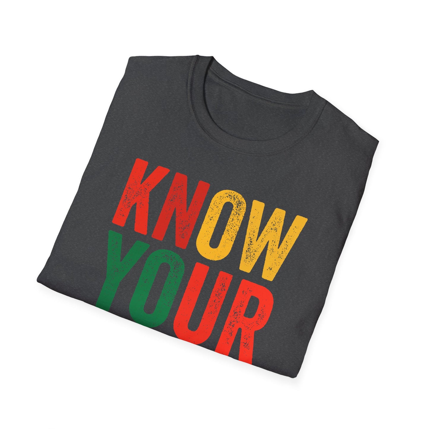 Know your own history Unisex Softstyle T-Shirt