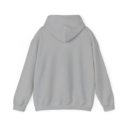 God's Plan Unisex Heavy Blend™ Hooded Sweatshirt