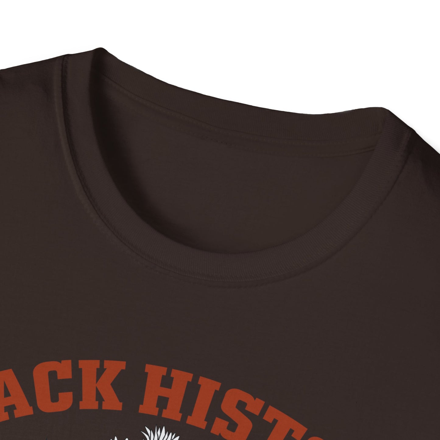 Black History book stack Unisex Softstyle T-Shirt