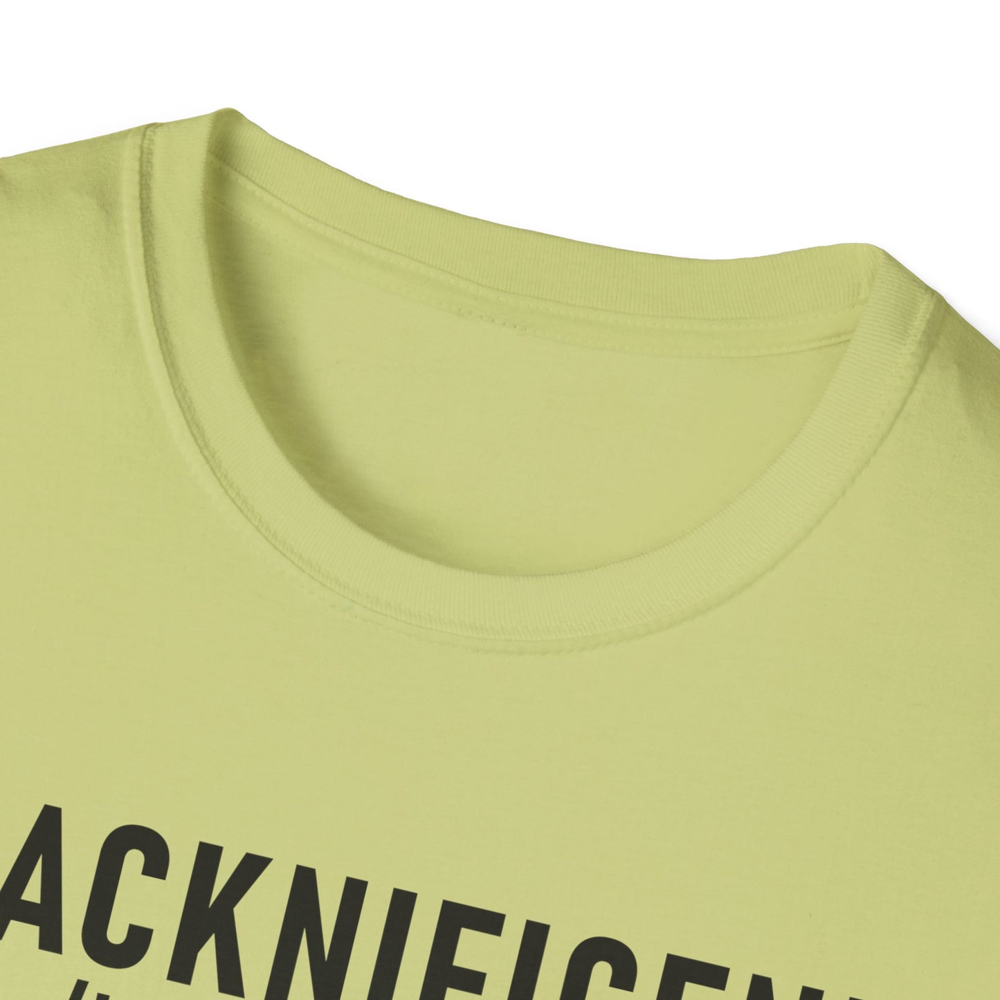 Blacknificent Unisex Softstyle T-Shirt | Inspirational Tee, Melanin Pride Shirt, Gift for Her/Him, Everyday Wear, Celebration Tee