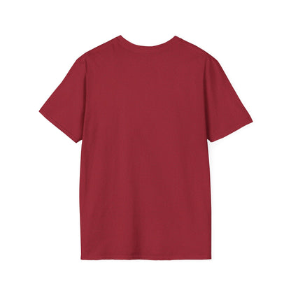 DES 3 Unisex Softstyle T-Shirt