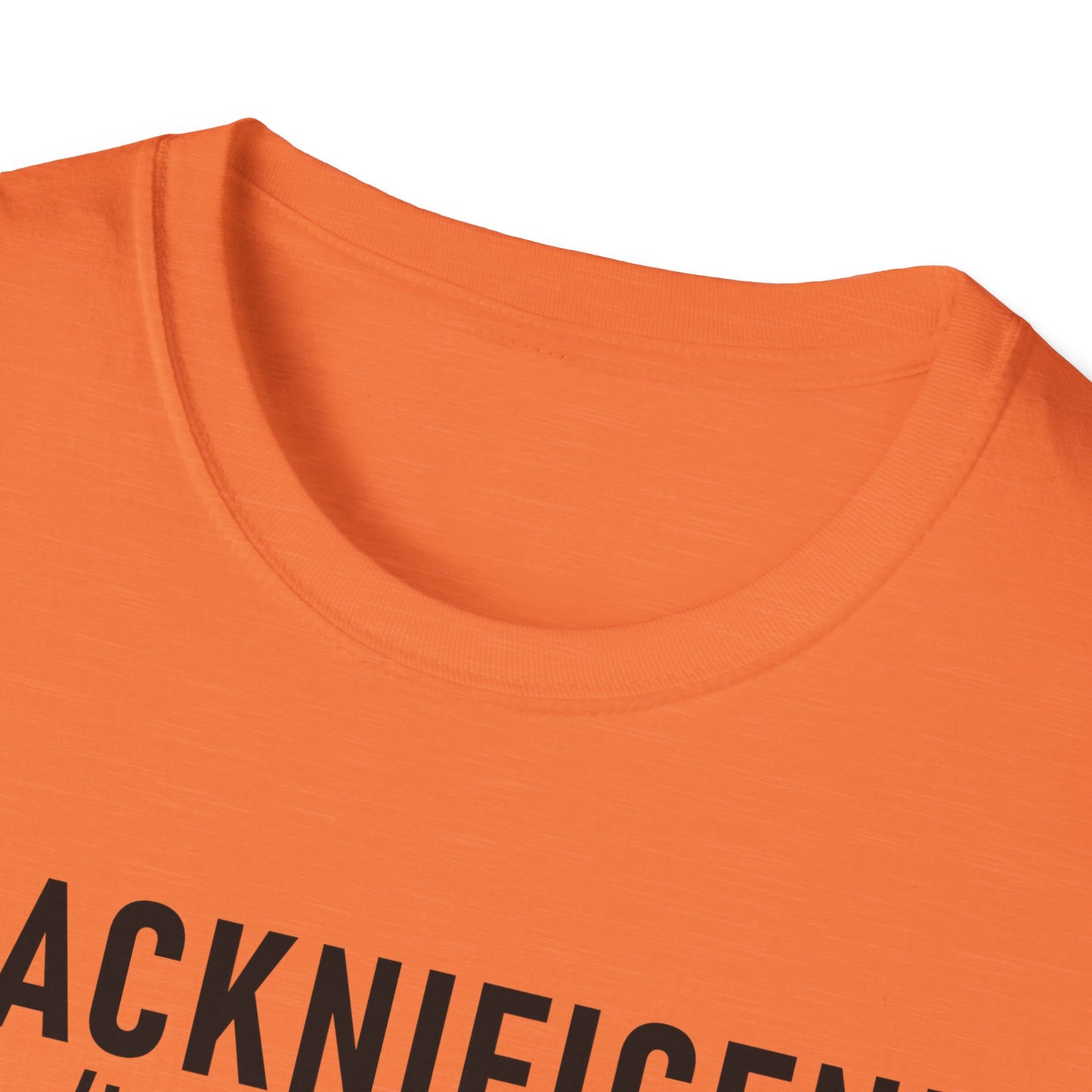 Blacknificent Unisex Softstyle T-Shirt | Inspirational Tee, Melanin Pride Shirt, Gift for Her/Him, Everyday Wear, Celebration Tee